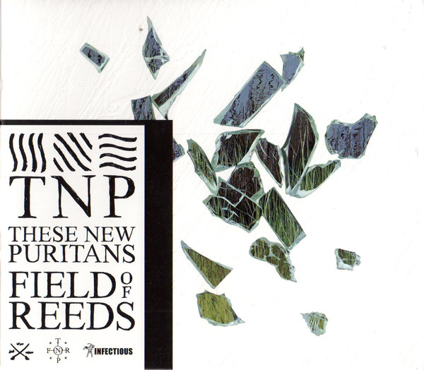 These New Puritans: Field of Reeds (2013)